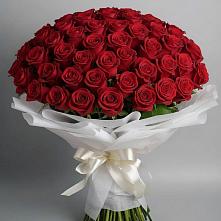 Букет 101 Красная роза Блэк Мэджик в Новоукраинском