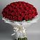 Букет 101 Красная роза Блэк Мэджик в Новоукраинском