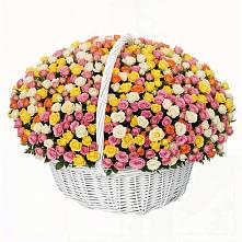 Премиум букет из: Розы в Новоукраинском