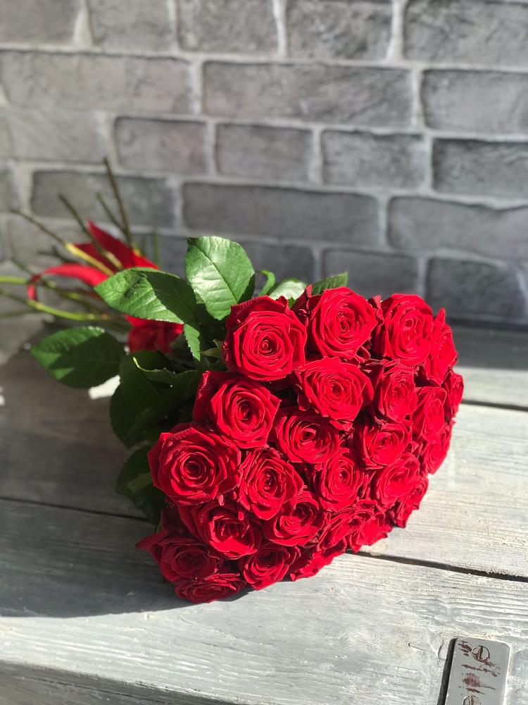 Букет Красные розы Фридом в Новоукраинском