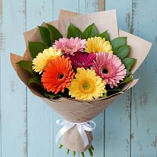Букет цветов из:  Герберы #REPLACE_PRED# Новоукраинском