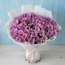 Букет цветов из:  Хризантемы в Новоукраинском
