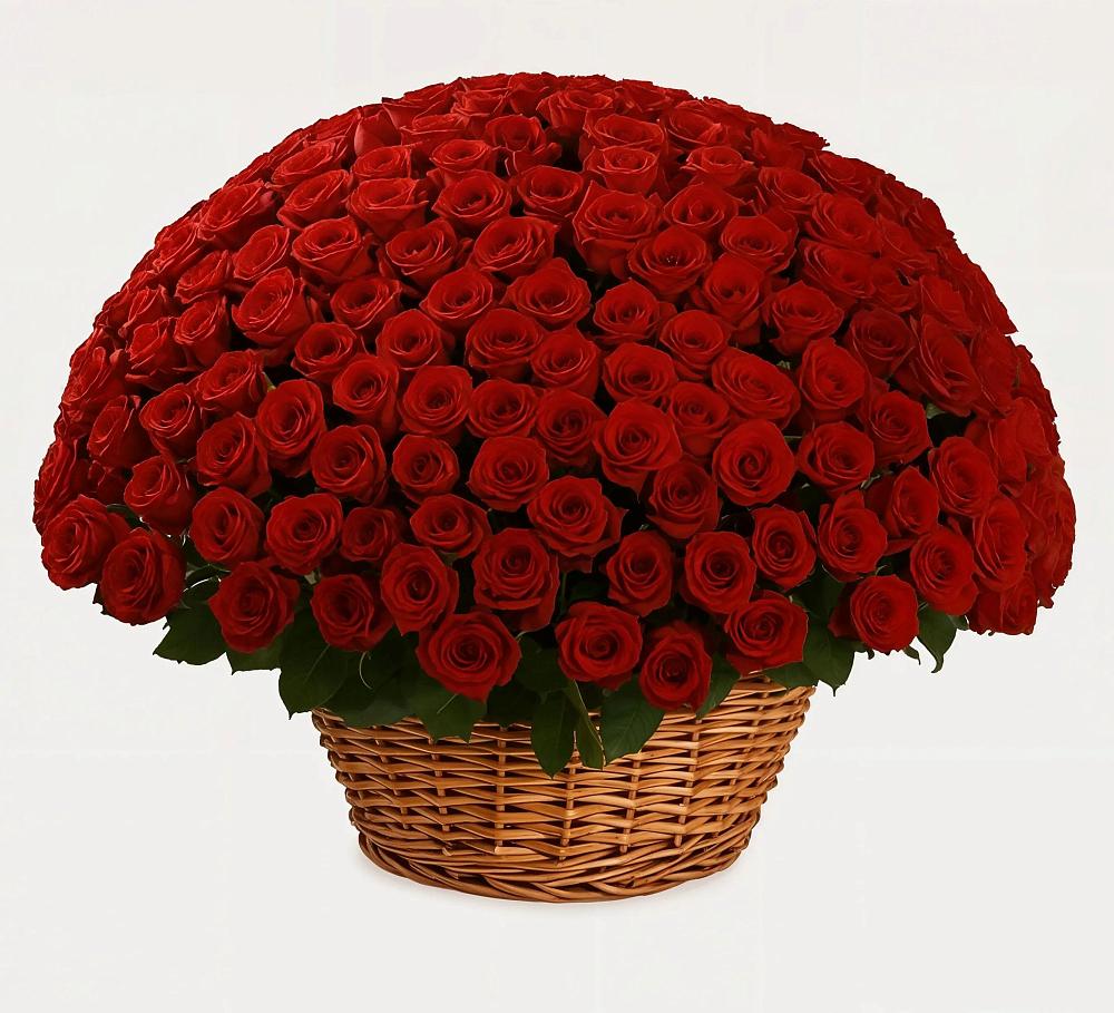 Премиум букет из: Розы в Новоукраинском