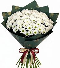 Букет цветов из:  Хризантемы #REPLACE_PRED# Новоукраинском