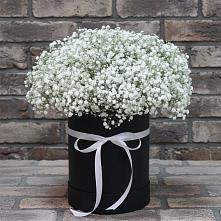 Цветочная композиция из Гипсофила в шляпной коробке в Новоукраинском