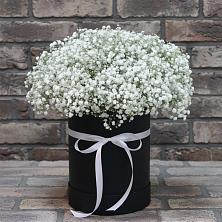 Цветочная композиция из Гипсофила в шляпной коробке в Новоукраинском